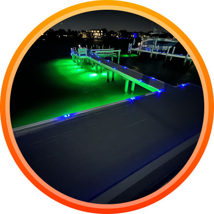 Stylish Landscape Lighting Installation in Tampa Bay