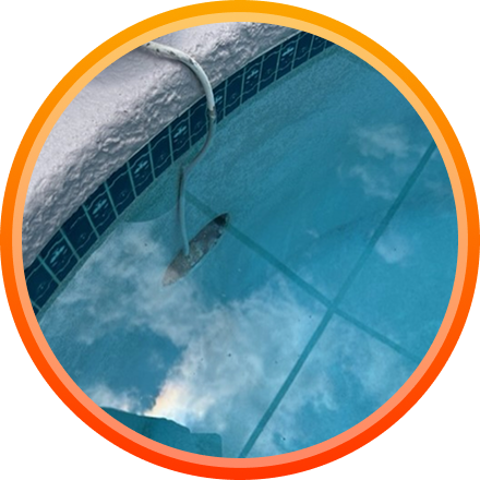 Choose the Best Electrician for Pool Wiring in Tampa Bay